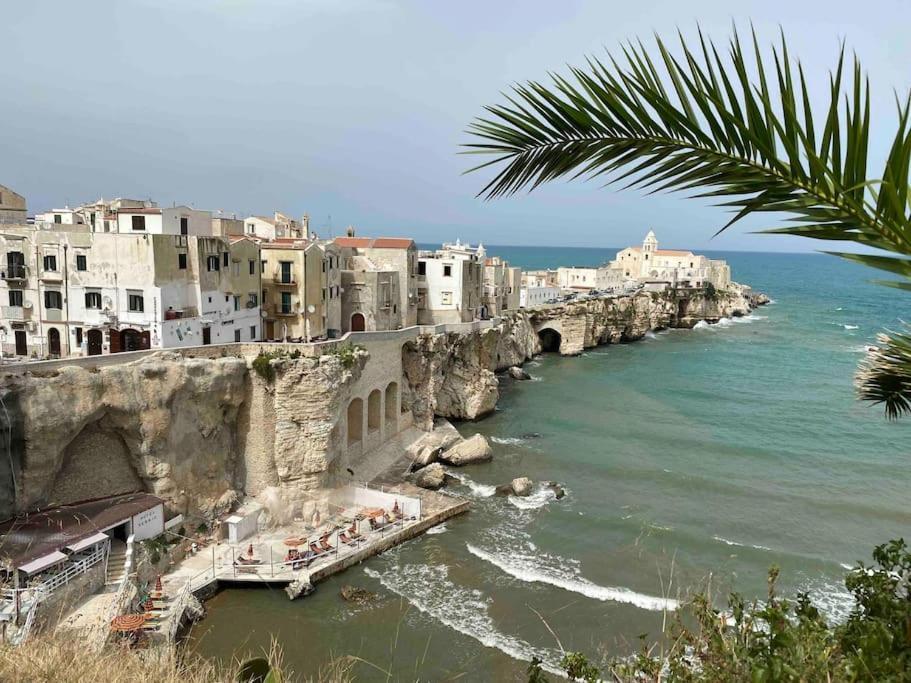 Cozy Flat By The Sea In The Old Town Apartment Vieste Exterior photo